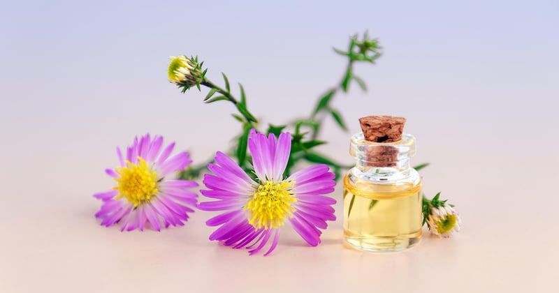 Bien-être féminin et médecine alternative : les pratiques qui transforment votre quotidien
